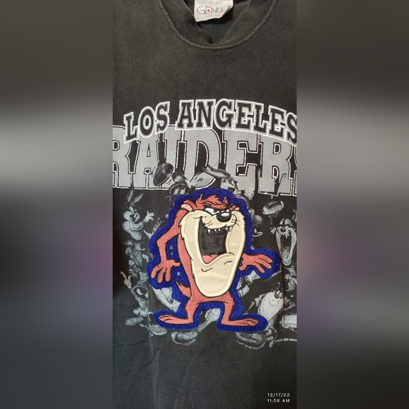 SUPER RARE OLD VINTAGE 1993 RAIDERS TAZ STITCHED EMBROIDERED NFL WARNER BROTHERS - Picture 3 of 7